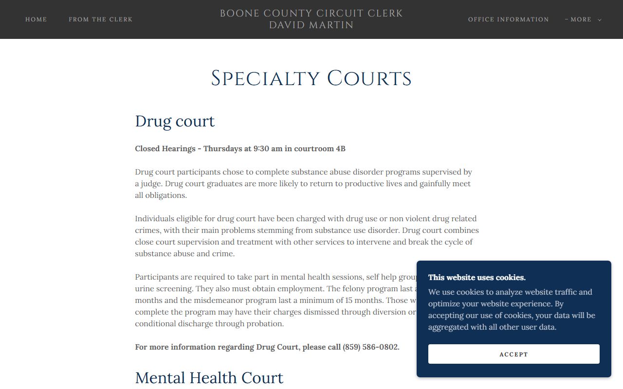 Boone County specialty court records and dockets page